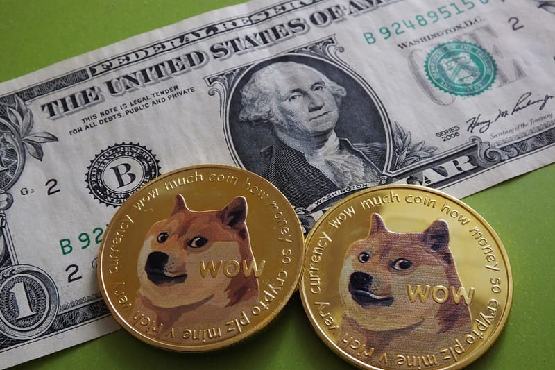 Dogecoin Investor Refuses To Sell Despite Losing $167K USD in a Single Day