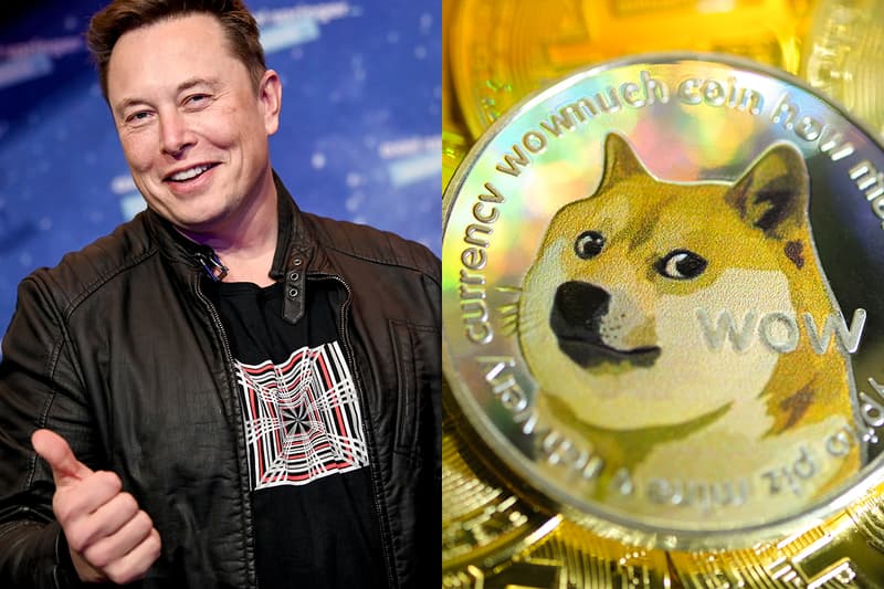 Elon Musk Supports dogecoin Dogepalooza Music Festival cryptocurrency