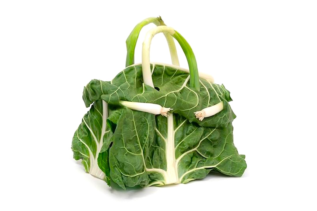 Hermes Ben Denzer Vegetable Birkin Bags Info behind the scenes