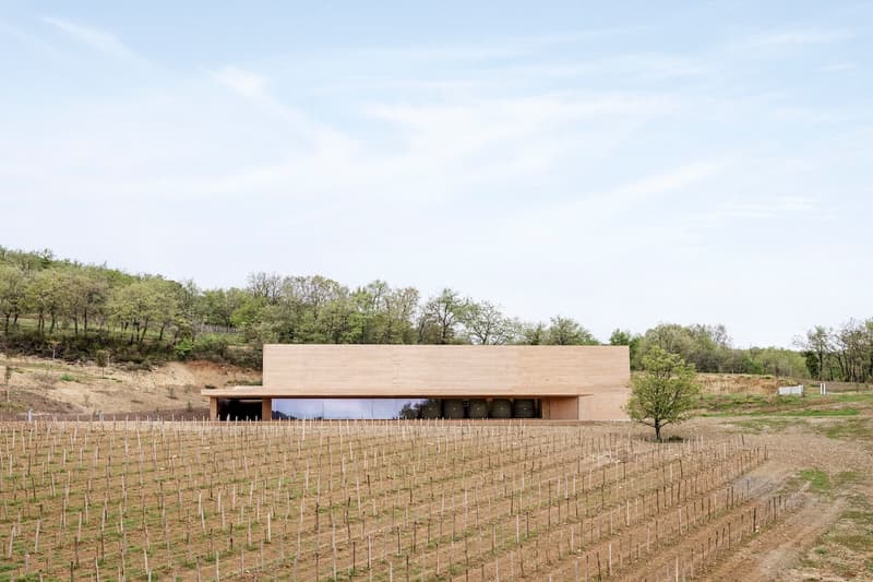 a new modernist cellar building for a vineyard