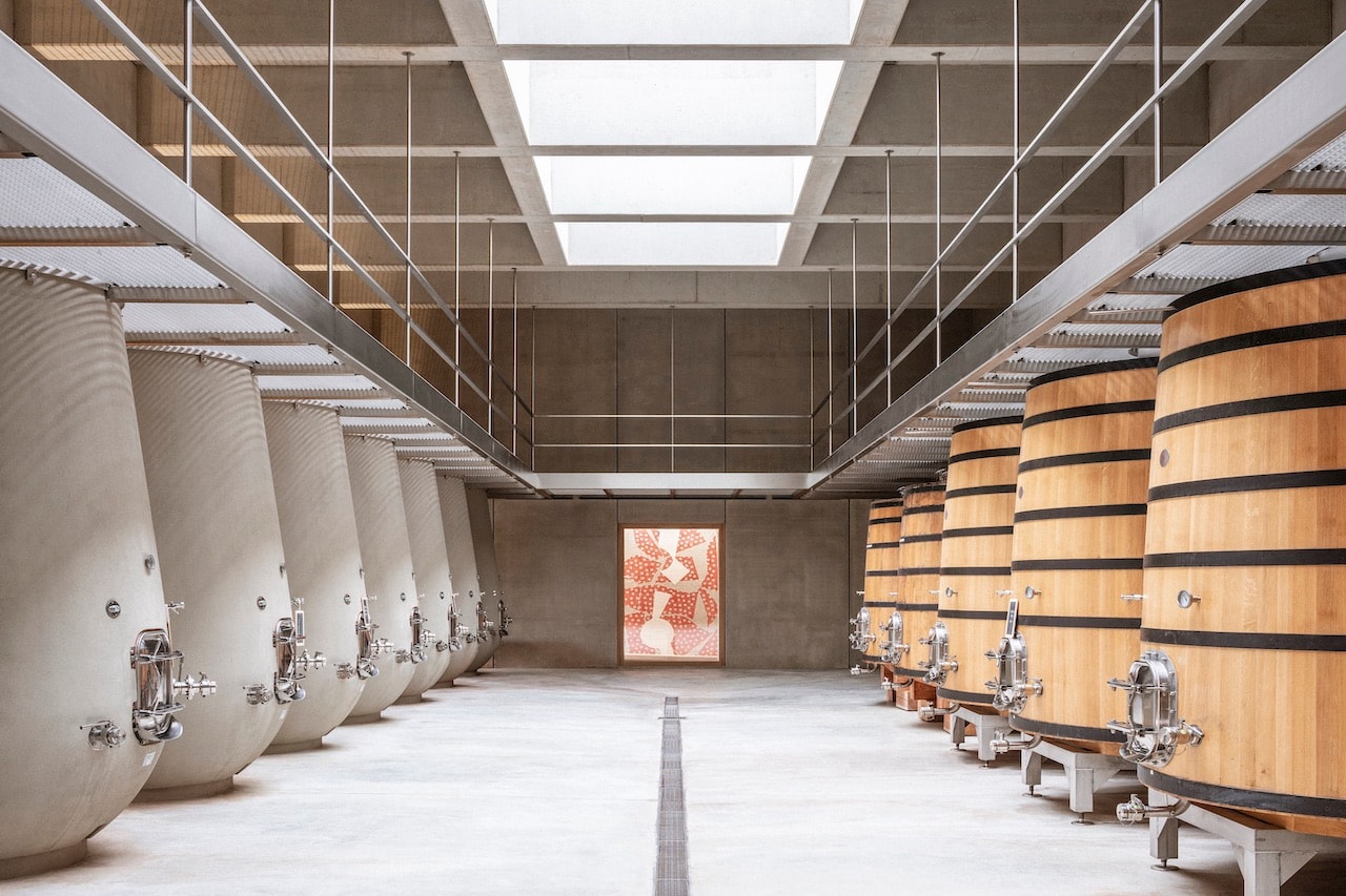 a new modernist cellar building for a vineyard