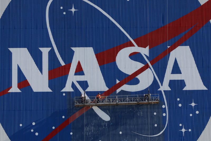 NASA Just Launched Dozens of Baby Squids Into Space