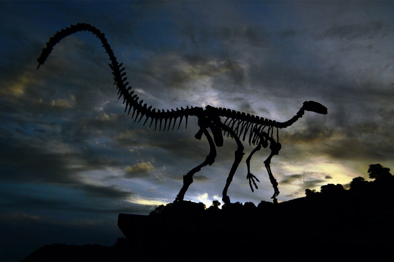 Paleontologists Have Found Evidence That Dinosaurs Once Flourished Near the North Pole cretaceous period north america arctic alaska scientists museums