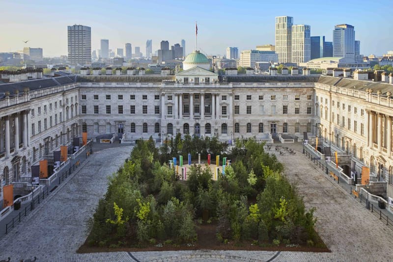 Swiss Artist Accuses London Design Biennial For Copying Massive Forest Installation