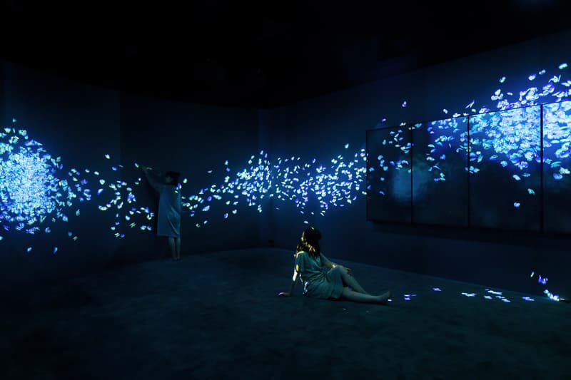 teamLab Launches Major Solo Exhibition Asian Art Museum San Francisco Toshiyuki Inoko digital immersive virtual experience projections japan