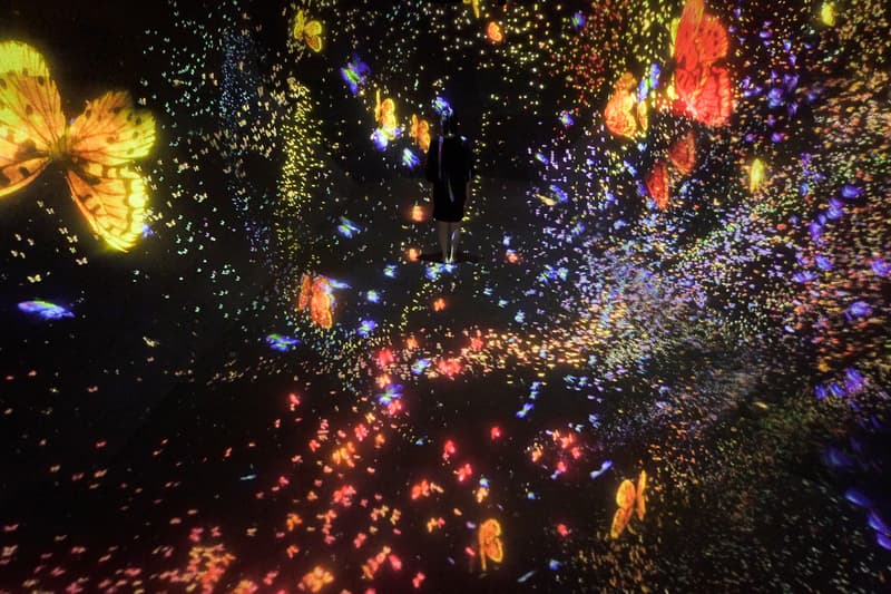 teamLab Launches Major Solo Exhibition Asian Art Museum San Francisco Toshiyuki Inoko digital immersive virtual experience projections japan