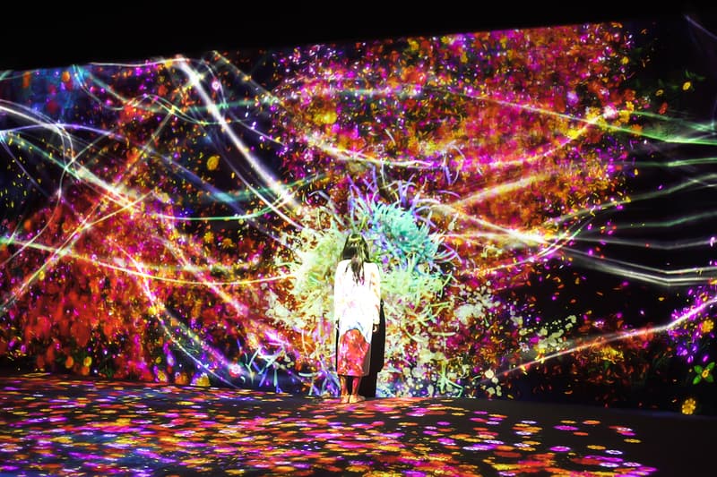 teamLab Launches Major Solo Exhibition Asian Art Museum San Francisco Toshiyuki Inoko digital immersive virtual experience projections japan