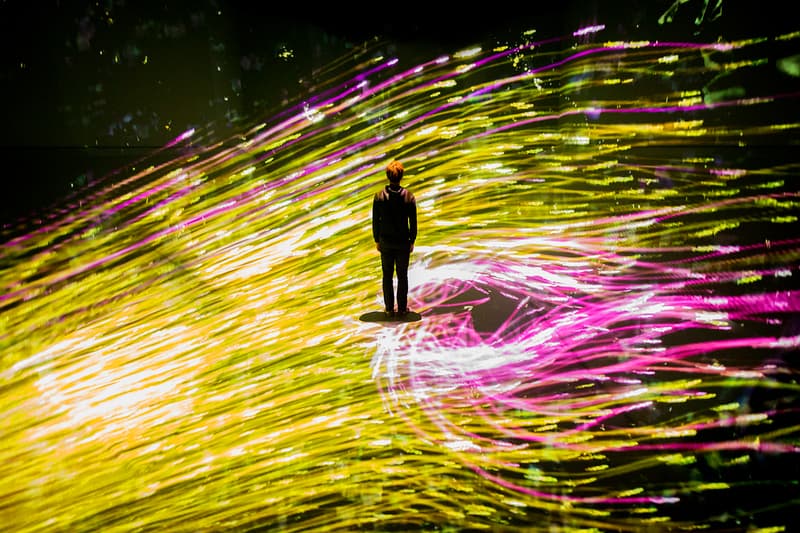 teamLab Launches Major Solo Exhibition Asian Art Museum San Francisco Toshiyuki Inoko digital immersive virtual experience projections japan