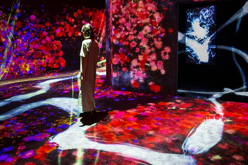 teamLab Launches Major Solo Exhibition Asian Art Museum San Francisco Toshiyuki Inoko digital immersive virtual experience projections japan