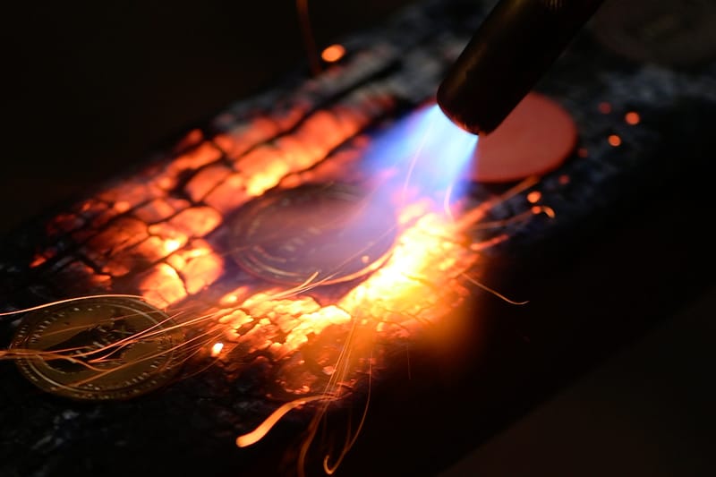 MadeWorn Ages Special Edition Timex American Documents Watch