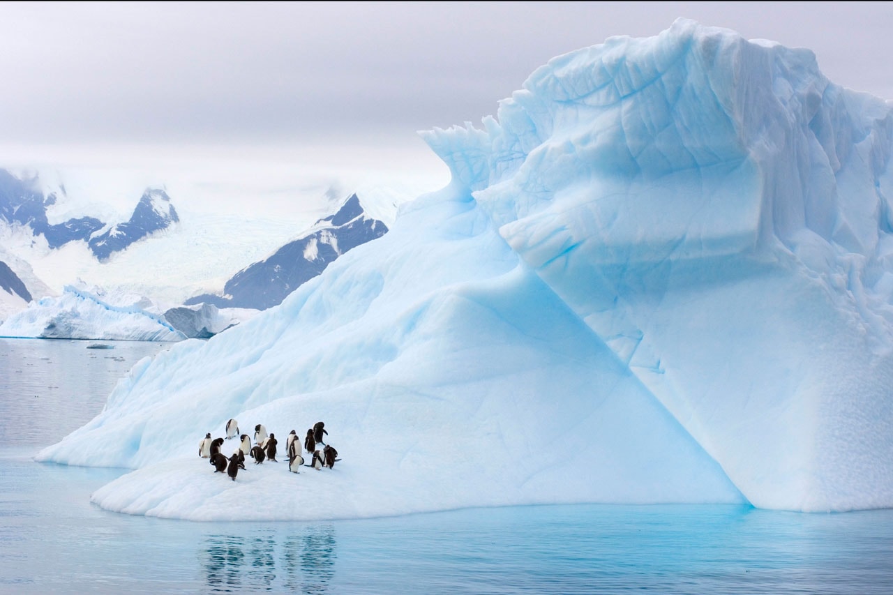 Antarctica Just Recorded Its Highest Temperature Ever