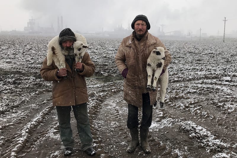 Here Are the Winners of the 2021 iPhone Photography Awards