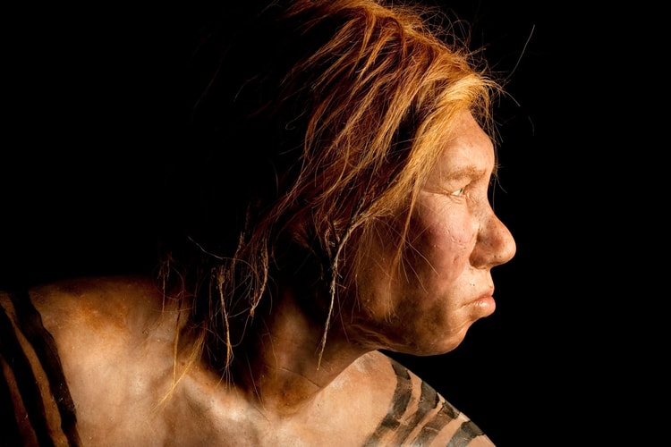 Researchers Discover 51,000-Year-Old Neanderthal Artwork on a Prehistoric Deer Bone
