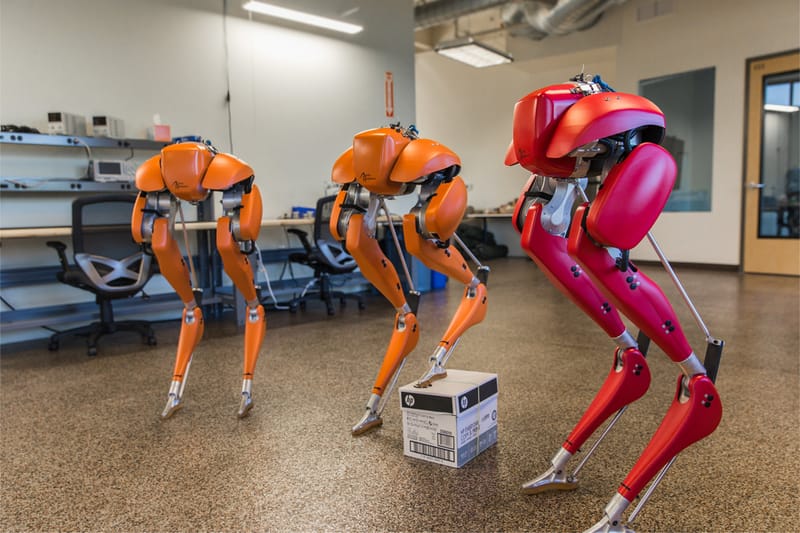 Agility Robotics' Bipedal Cassie Ran a 5K Without the Need of Tethers