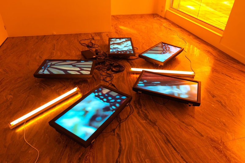 Hauser & Wirth Los Angeles In Focus LA Artists 