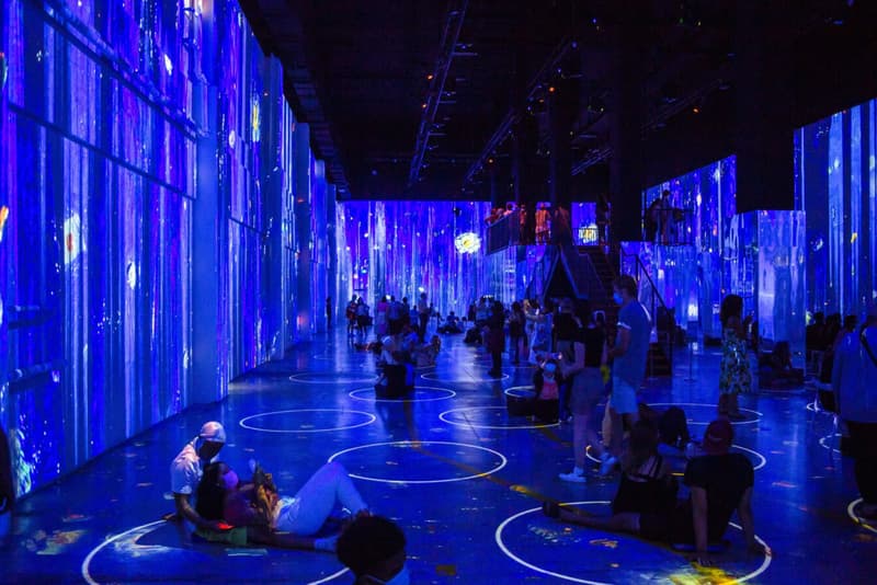 Immersive Van Gogh Exhibition Los Angeles Amoeba
