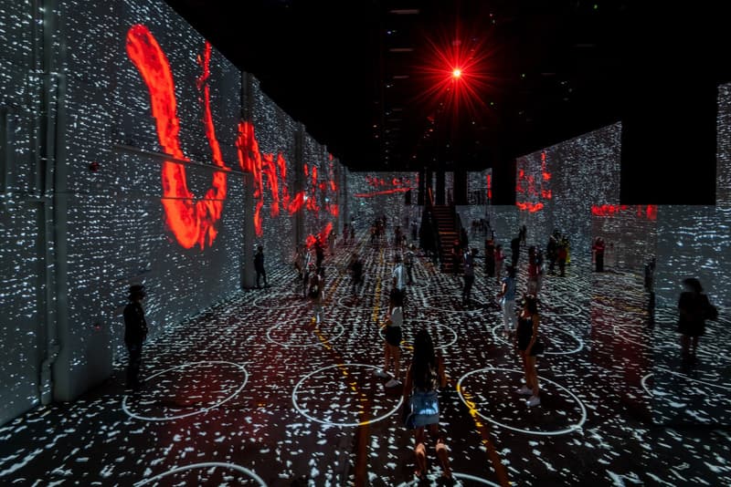 Immersive Van Gogh Exhibition Los Angeles Amoeba