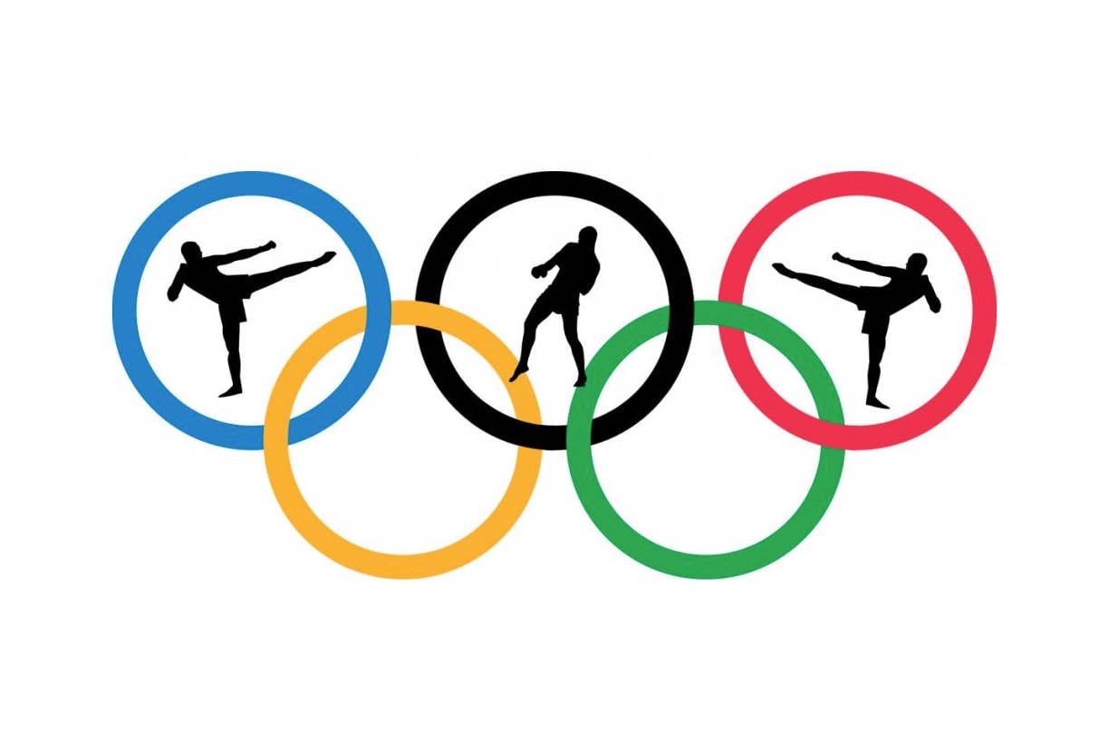 Olympic Combat Sports Karate Kickboxing, Muay Thai, and Sambo Karate Mixed Martial Arts MMA 2020 Tokyo 