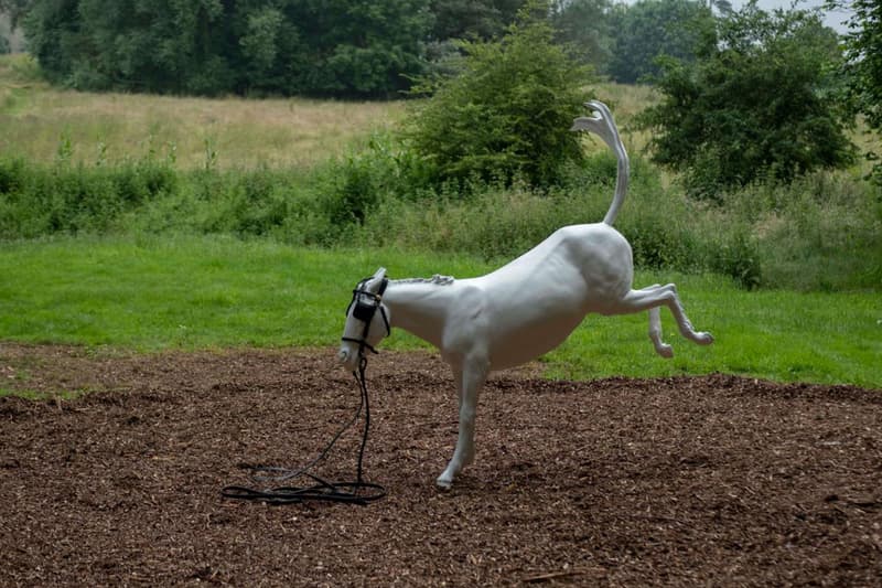 Albion Fields Oxfordshire Sculpture Park Art UK