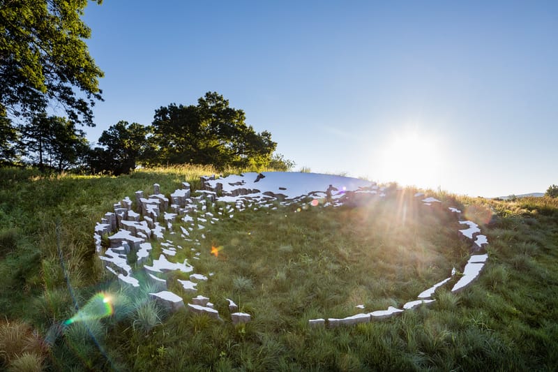 Sarah Sze Reflects the Living World in Massive Hillside Installation