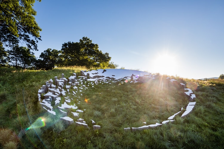 Sarah Sze Reflects the Living World in Massive Hillside Installation