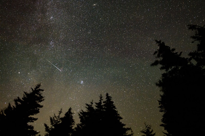 Perseid Meteor Shower Might Be This Year’s Best