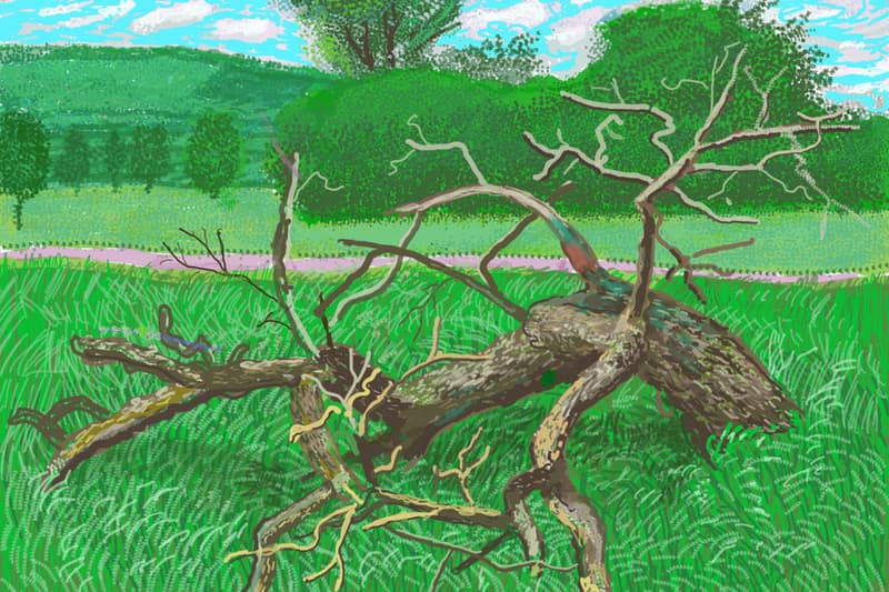 David Hockney: The Arrival of Spring, Normandy, 2020