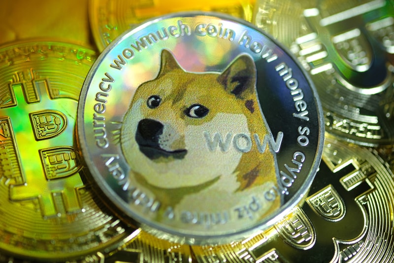 A Dogecoin Music Festival Called Dogepalooza is Slated for October cryptocurrency 