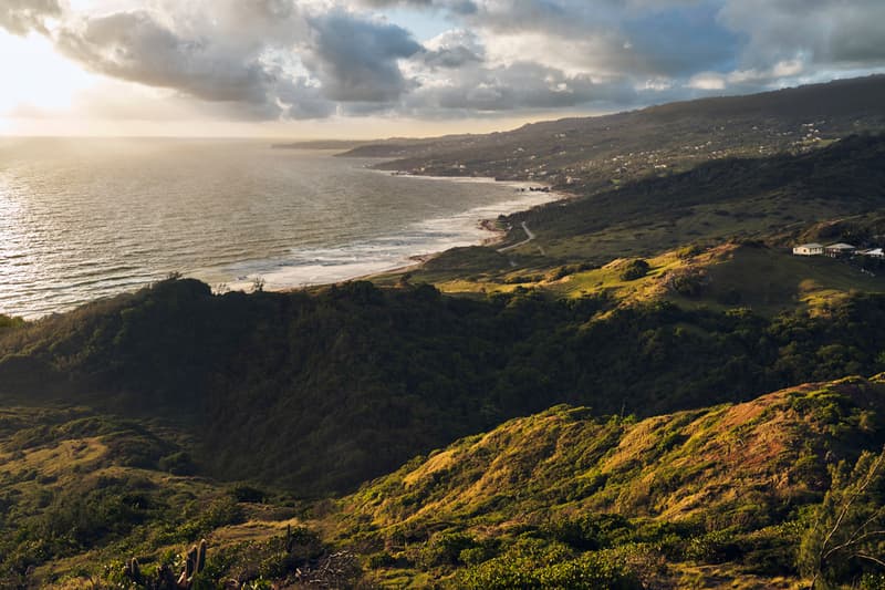 rum cocktail courier ocean eco-friendly daiquiri recipe conservation environment