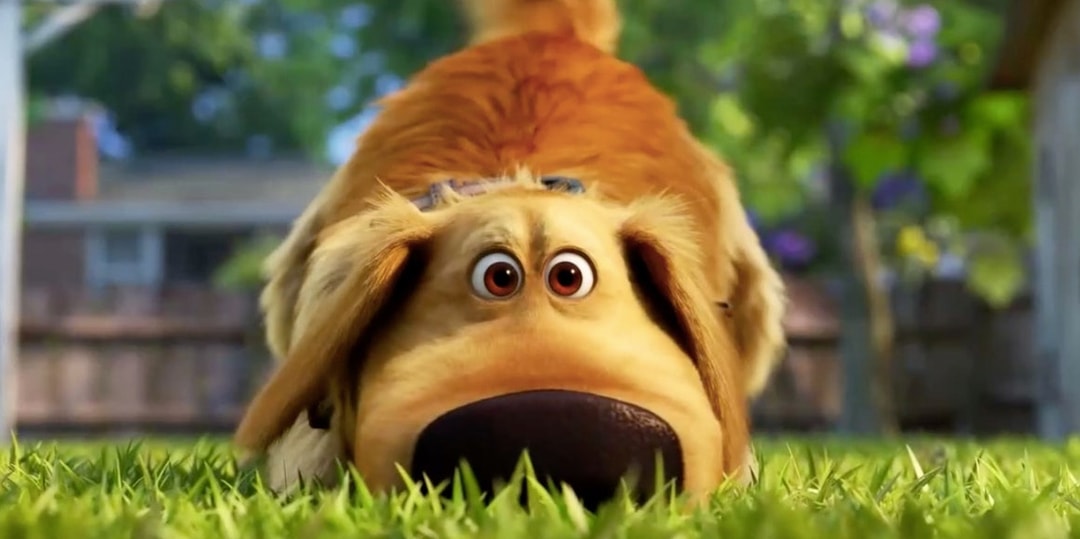 A First Look at Pixar's Dug Days Shorts Coming to Disney+