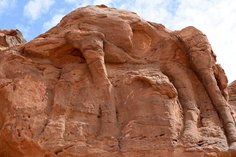 Saudi Arabia Ancient Camel Sculptures Archaeology