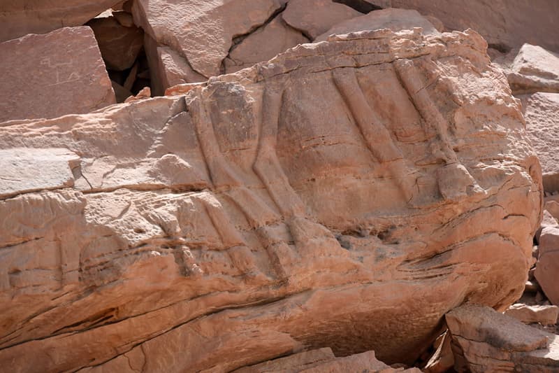Saudi Arabia Ancient Camel Sculptures Archaeology