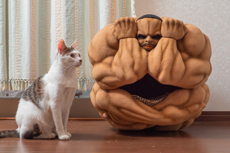 Baki Biscuit Oliva Neko Chigura cat house link factory anime manga pets 