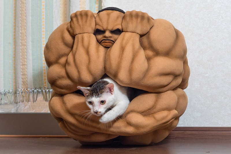 Baki Biscuit Oliva Neko Chigura cat house link factory anime manga pets 