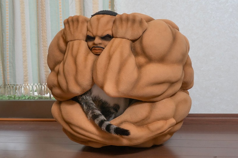 Baki Biscuit Oliva Neko Chigura cat house link factory anime manga pets 