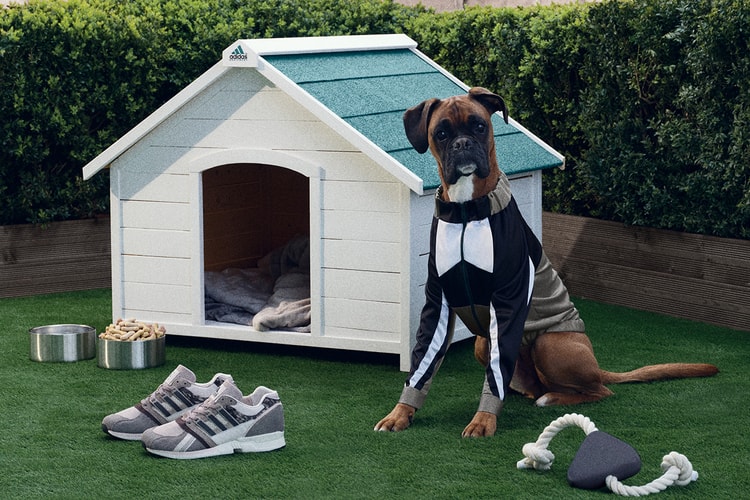 Extra Butter and adidas Announce a Dog-Inspired Equipment CSG 91 "Best Friend" Collaboration