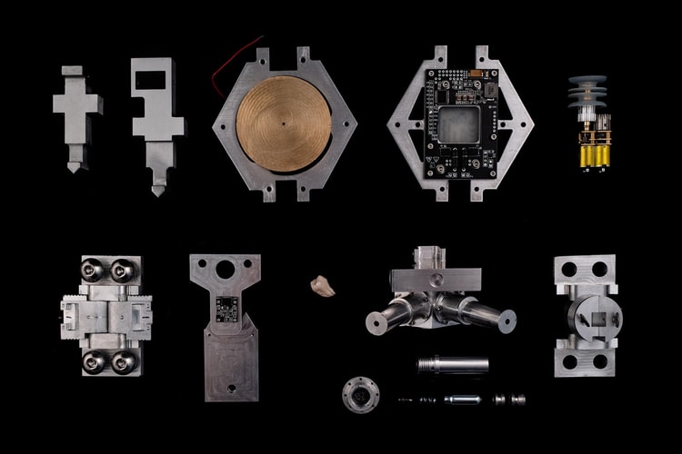 Honor Fraser Dives Into the “Synthetic Wilderness” of the Digital World