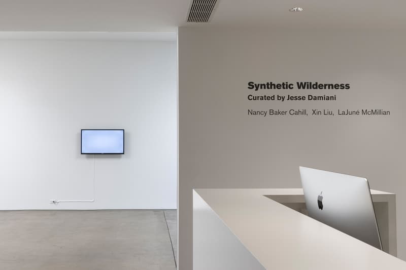 Honor Fraser "Synthetic Wilderness" Exhibition LA