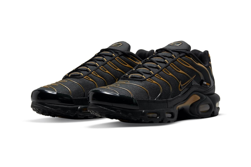 Nike Air Max Plus "Cordura" DO6700-001 Release 2021