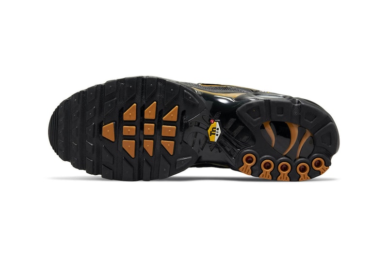 Nike Air Max Plus "Cordura" DO6700-001 Release 2021