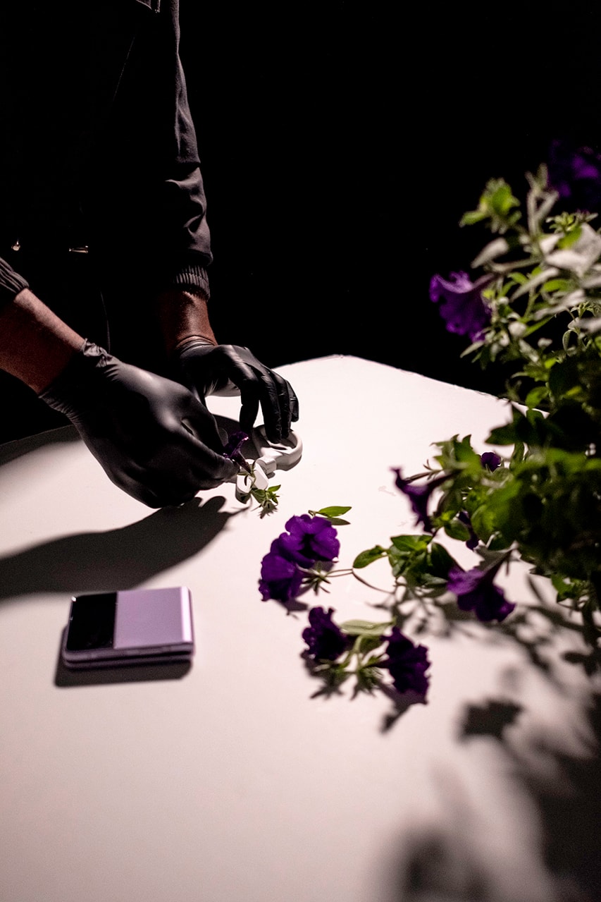 art galaxy flip 3 phone video artist custom flower floral cellphone smartphone app network