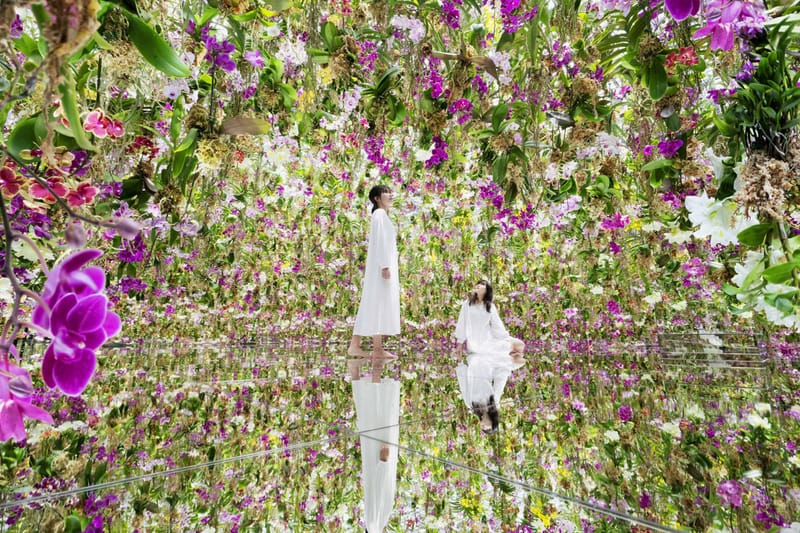 Step Into teamlab’s Interactive Garden Installation