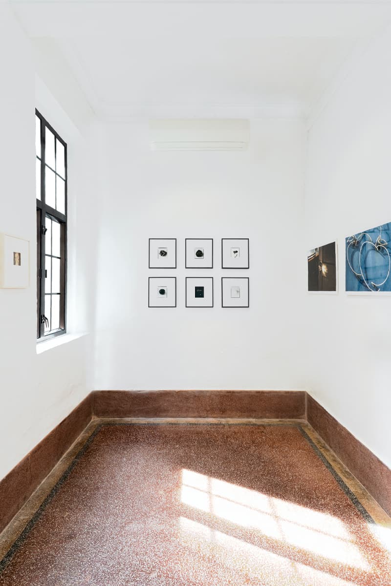 THE SHOPHOUSE Presents Joy BC and Chris Rhodes' Joint Exhibit 'POMODORO' hong kong london goldsmith jewelry artist photographer photography still life tomato onion contemporary art ancient mythology greek myths