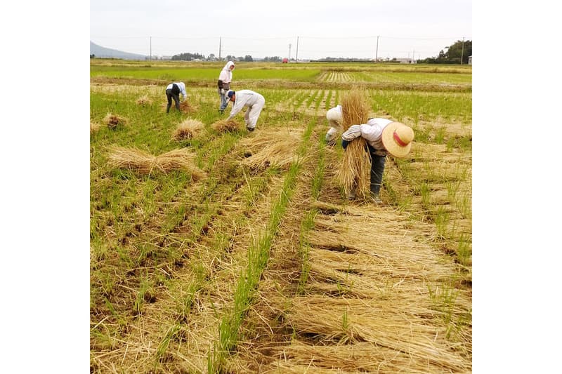 Wara Art Festival Straw Sculptures Niigata Japan