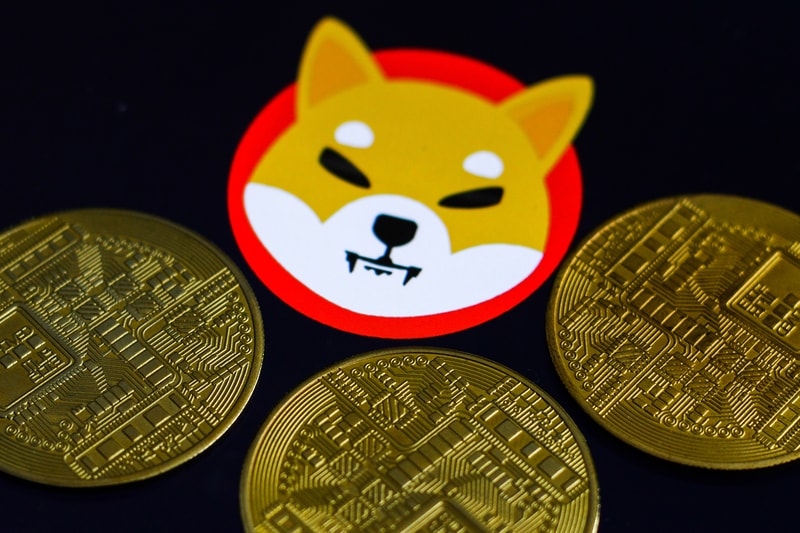 Buyer of 8000 Worth of Shiba Inu Last Year Now Holds More Than 6 Billion Worth of SHIB morning brew untraceable 