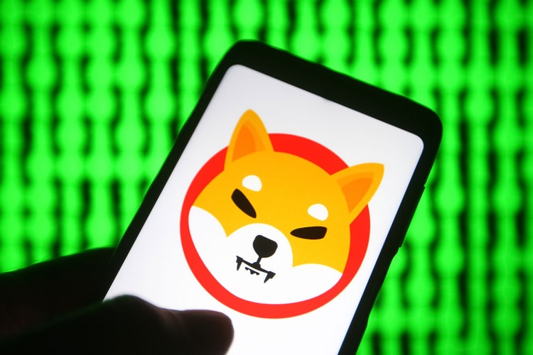 Memecoins Jump After Elon Musk Tweets a Photo of His Shiba Inu Puppy in a Tesla