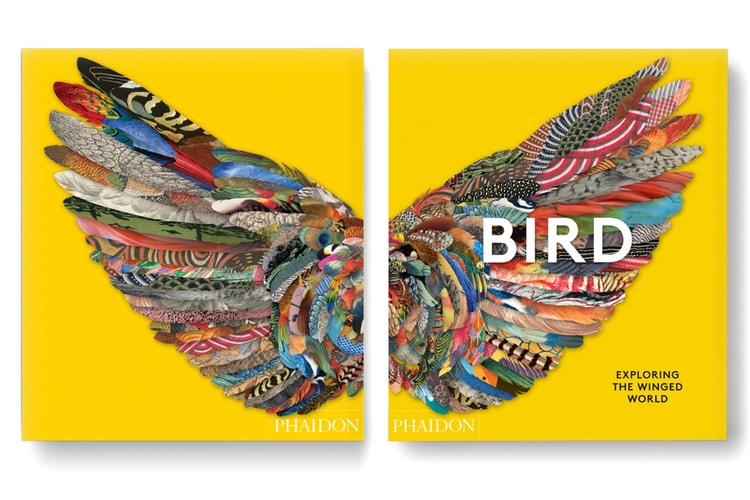 Phaidon to Chronicle the Cultural History of Birds in a New Art Book