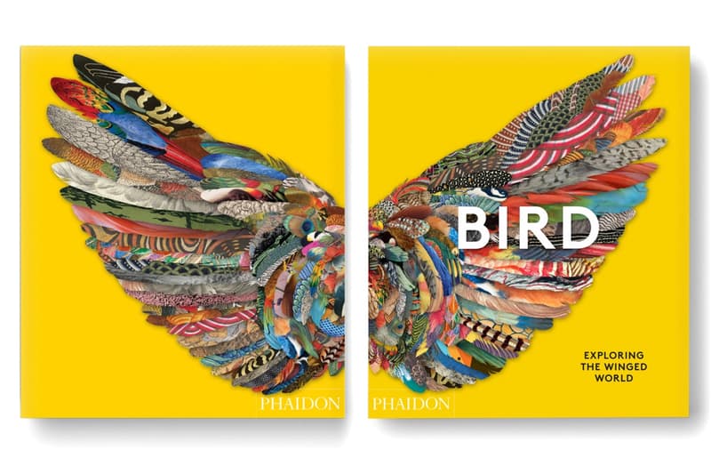 Phaidon Bird: Exploring the Winged World Art Book