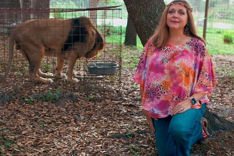 Carole Baskin Is Suing Netflix for 'Tiger King 2' howard baskin tampa florida royale goode [production appearance releases documentary 