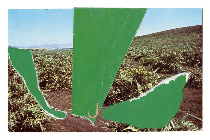 Ellsworth Kelly: Postcards DelMonico Books Collage